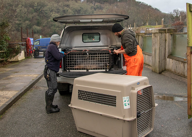 Seal Release - 19th January 2026