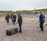 Seal Release - 19th  January 2026