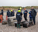 Seal Release - 19th  January 2026