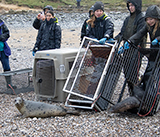 Seal Release - 19th  January 2026