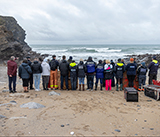 Seal Release - 19th  January 2026