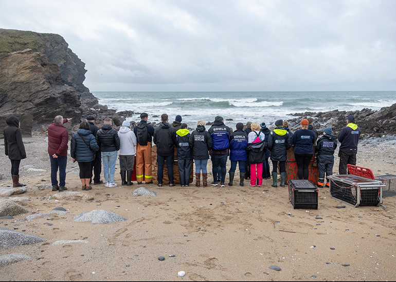 Seal Release - 19th January 2026
