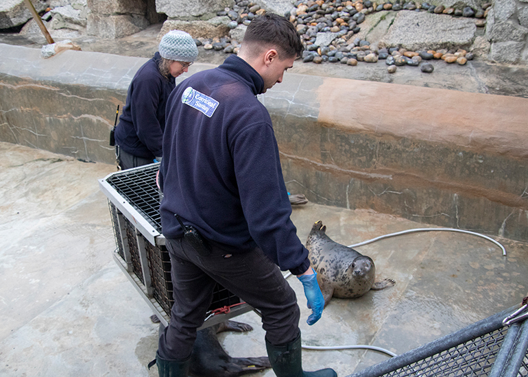 Seal Release - 19th January 2026