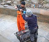 Seal Release - 19th  January 2026