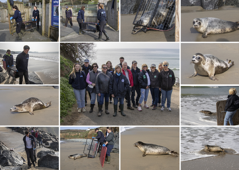 Seal Release - 23rd March 2026