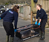 Seal Release - 23rd March 2026
