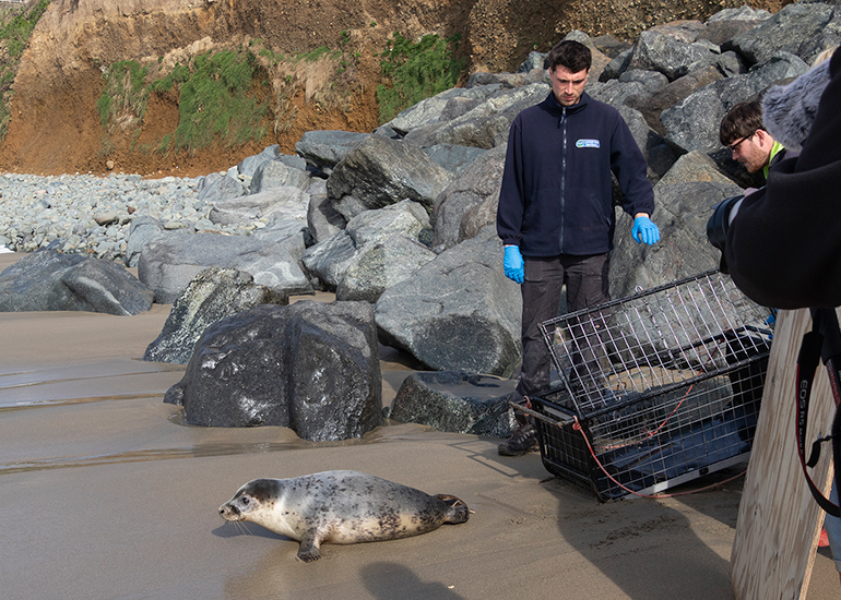 Seal Release - 23rd March 2026