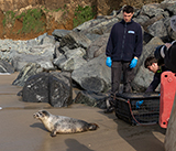 Seal Release - 23rd  March 2026