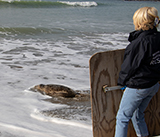 Seal Release - 23rd  March 2026