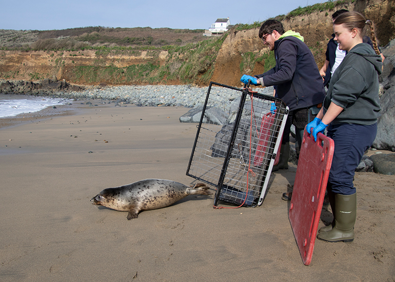 Seal Release - 23rd March 2026