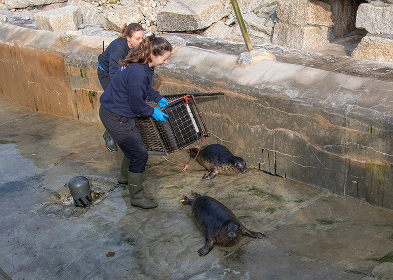 Seal Release - 23rd March 2026