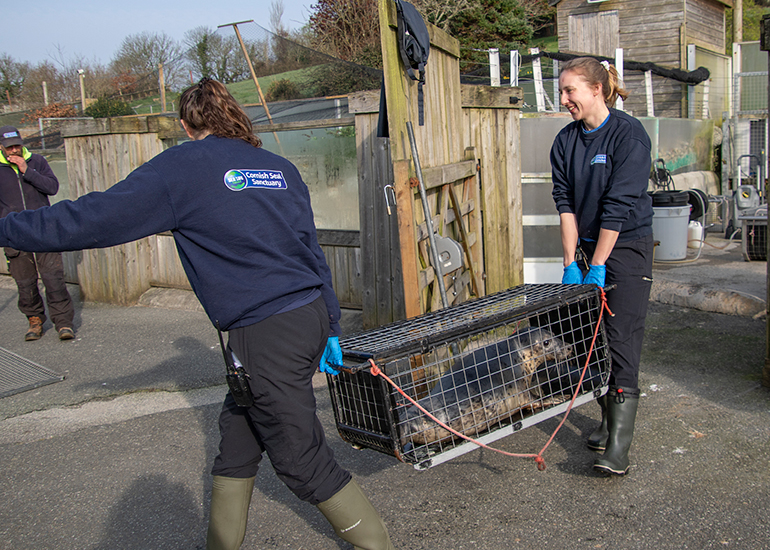 Seal Release - 23rd March 2026
