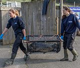 Seal Release - 23rd March 2026