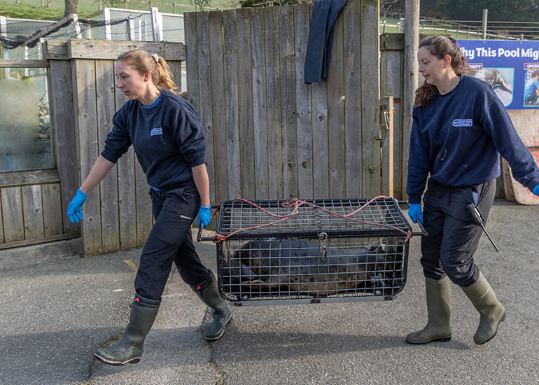 Seal Release - 23rd March 2026