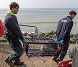 Seal Release - 23rd March 2026