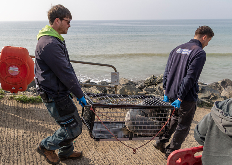 Seal Release - 23rd March 2026