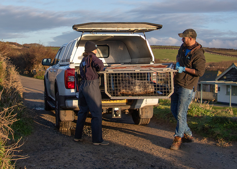 Seal Release - 23rd December 2025