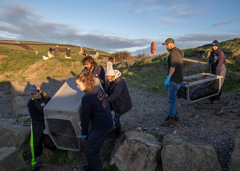 Seal Release - 23rd December 2025