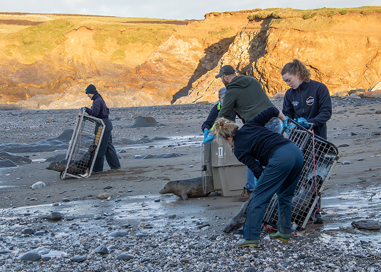 Seal Release - 23rd December 2025