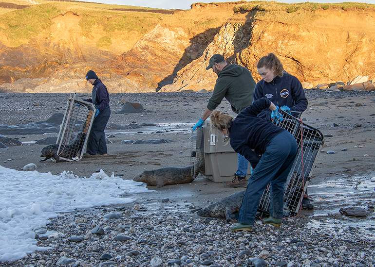 Seal Release - 23rd December 2025