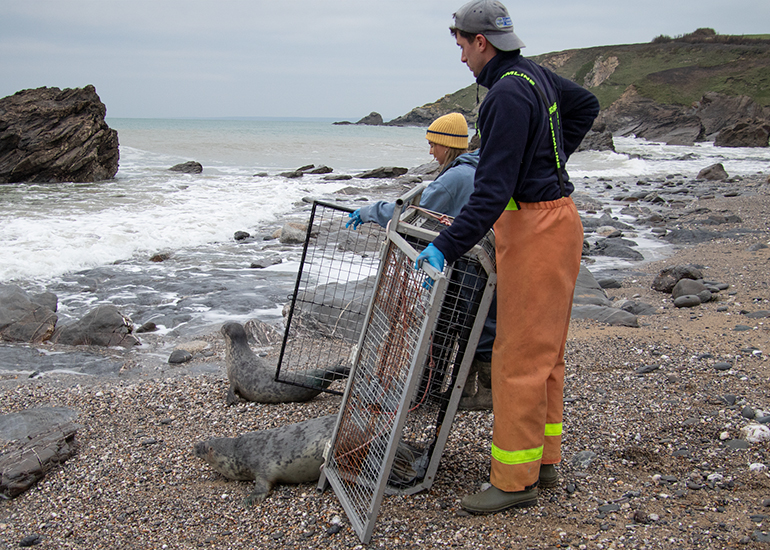 Seal Release - 24th December 2025