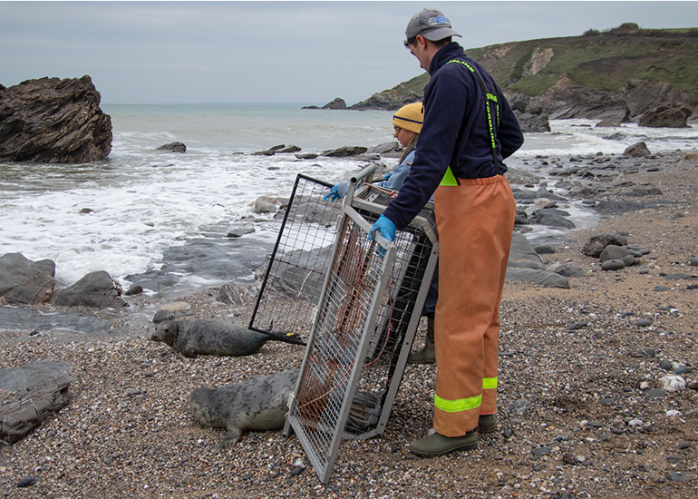 Seal Release - 24th December 2025