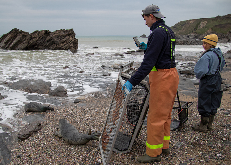 Seal Release - 24th December 2025