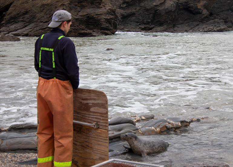 Seal Release - 24th December 2025