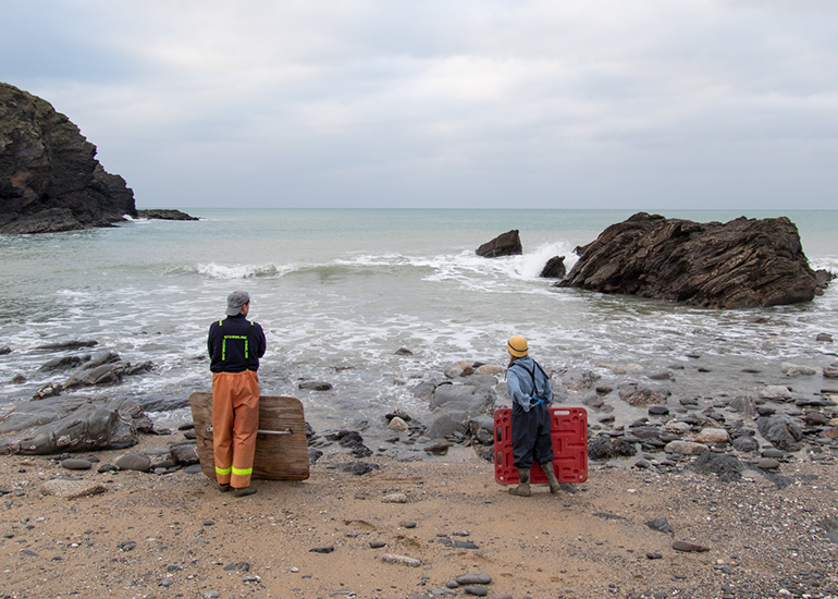 Seal Release - 24th December 2025