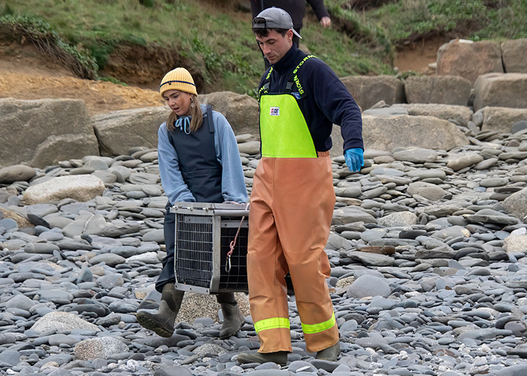 Seal Release - 24th December 2025