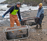 Seal Release - 24th December 2025