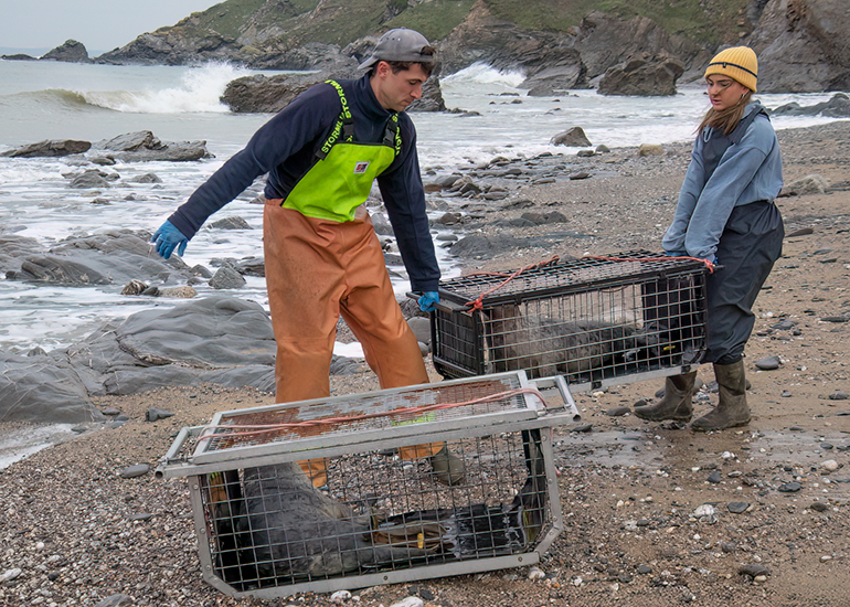 Seal Release - 24th December 2025