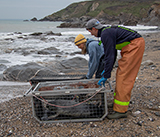 Seal Release - 24th December 2025