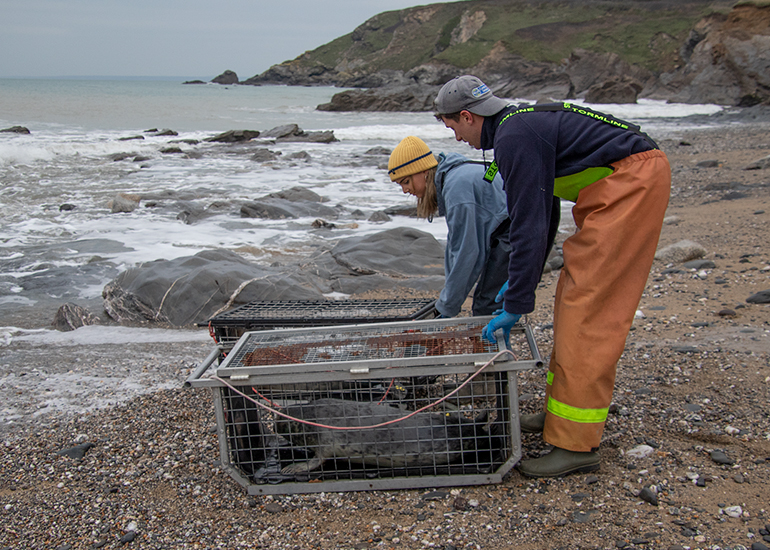 Seal Release - 24th December 2025