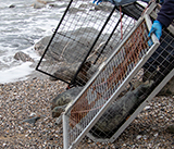 Seal Release - 24th December 2025