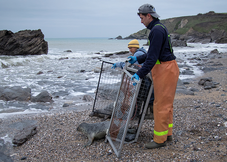Seal Release - 24th December 2025