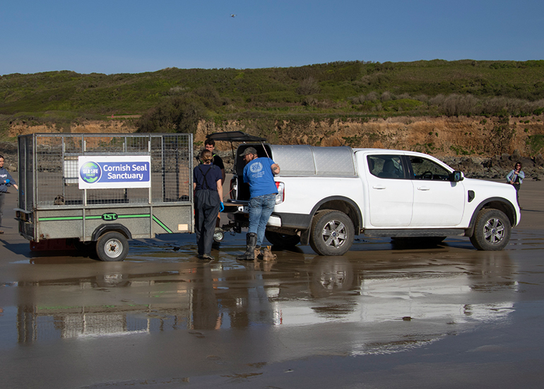 Seal Release - 27th April 2026