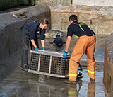 Seal Release - 27th  April  2026