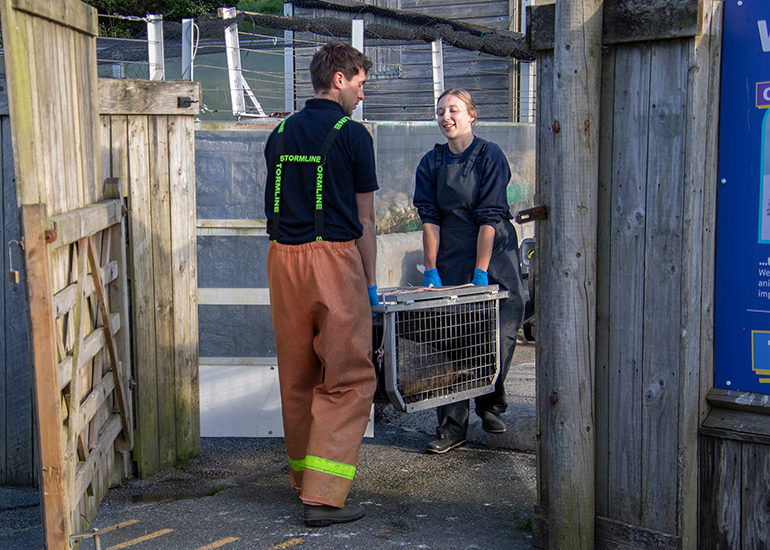 Seal Release - 27th April 2026