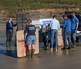 Seal Release - 28th April  2026