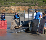 Seal Release - 28th April 2026