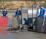 Seal Release - 28th April 2026