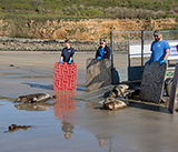 Seal Release - 28th April 2026