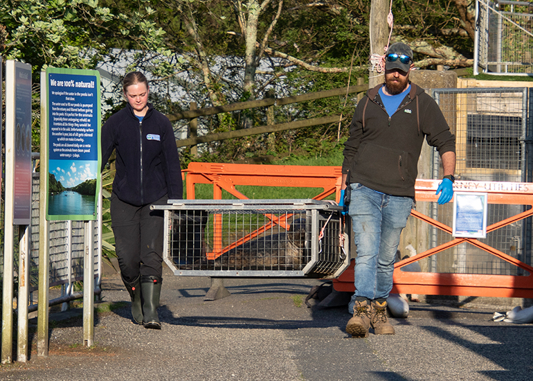 Seal Release - 28th April 2026