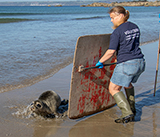 Seal Release - 28th April 2026