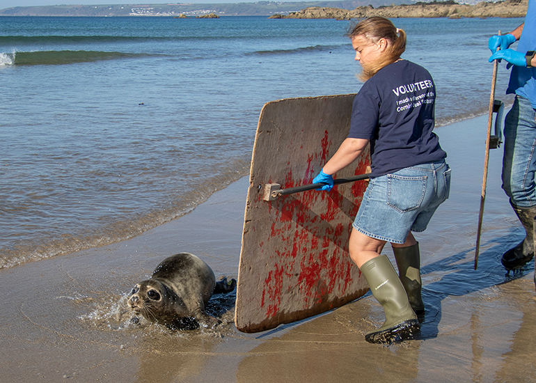 Seal Release - 28th April 2026