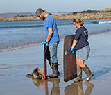 Seal Release - 28th April 2026