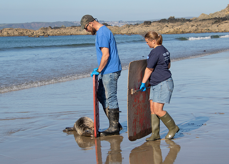 Seal Release - 28th April 2026