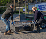 Seal Release - 28th April  2026