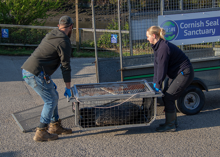 Seal Release - 28th April 2026
